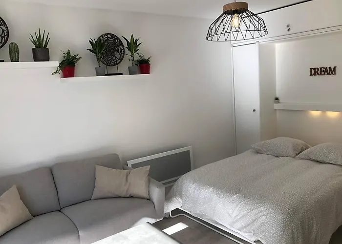 Grand studio cabine 30 m² centre ville, refait à neuf pour vous ! Climatisé