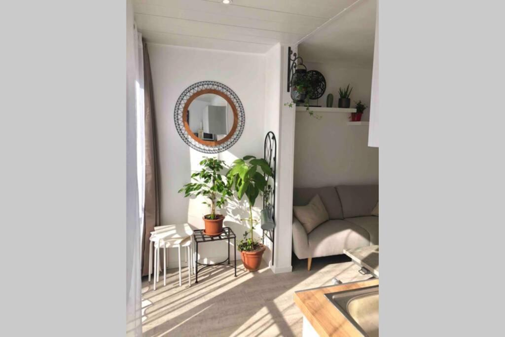 Appartement Grand 30 M² Centre Ville, Refait à Neuf Pour Vous ! Climatisé